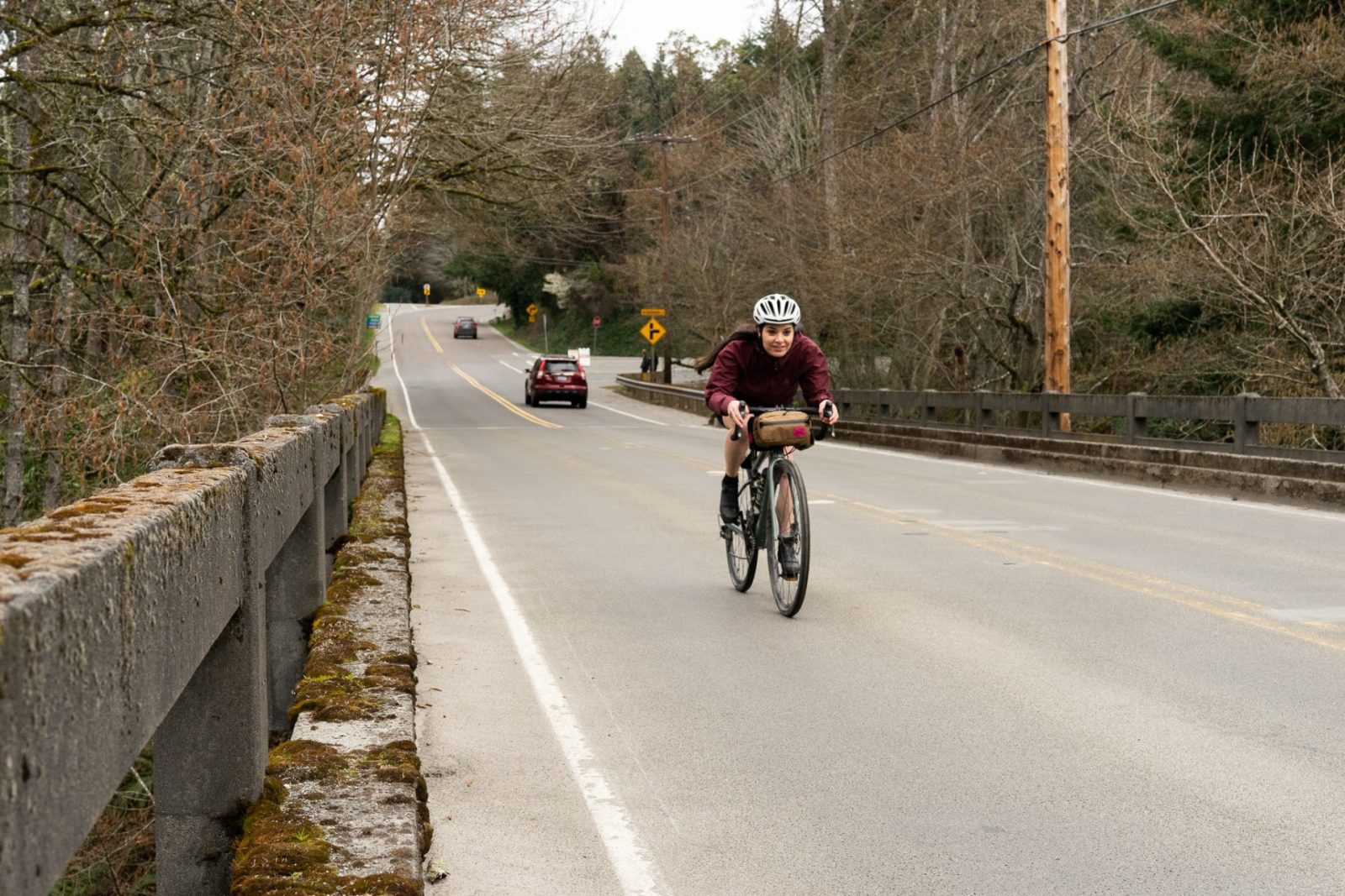 Swift Industries Kestrel Handlebar Bag