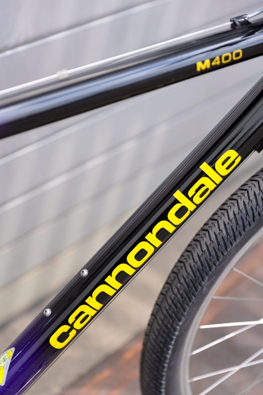 1996 Cannondale M600 — M/L (1.70 — 1.85)