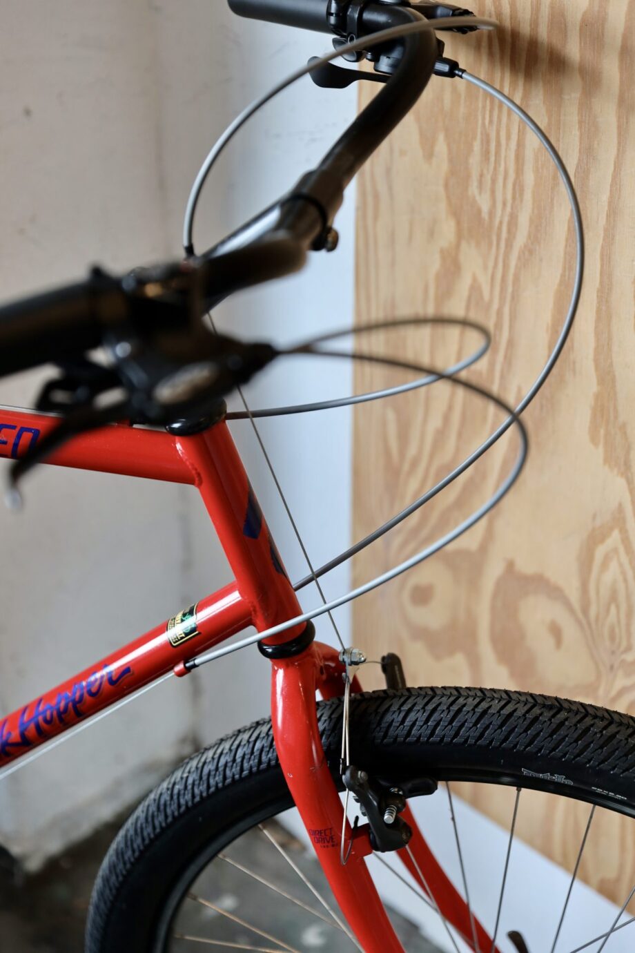 Specialized Rockhopper — XL (1.90 — 2.10)